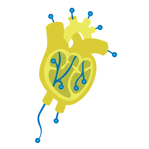 Illustration of a heart in yellow