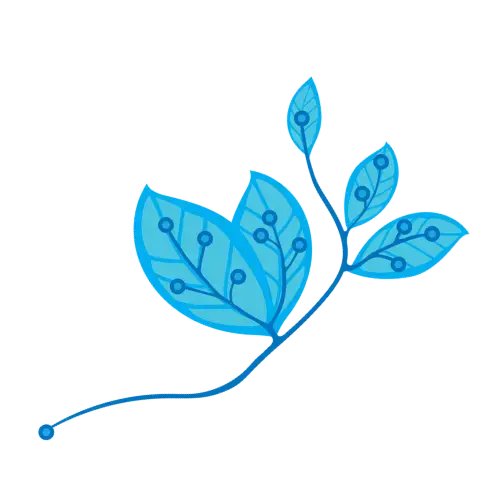Illustration of a leaves in light blue